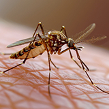 Professional cleaning